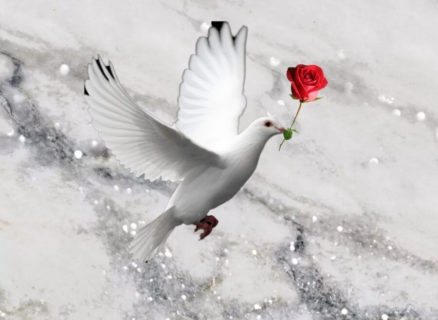 screenshot_20210330-073447_incollage