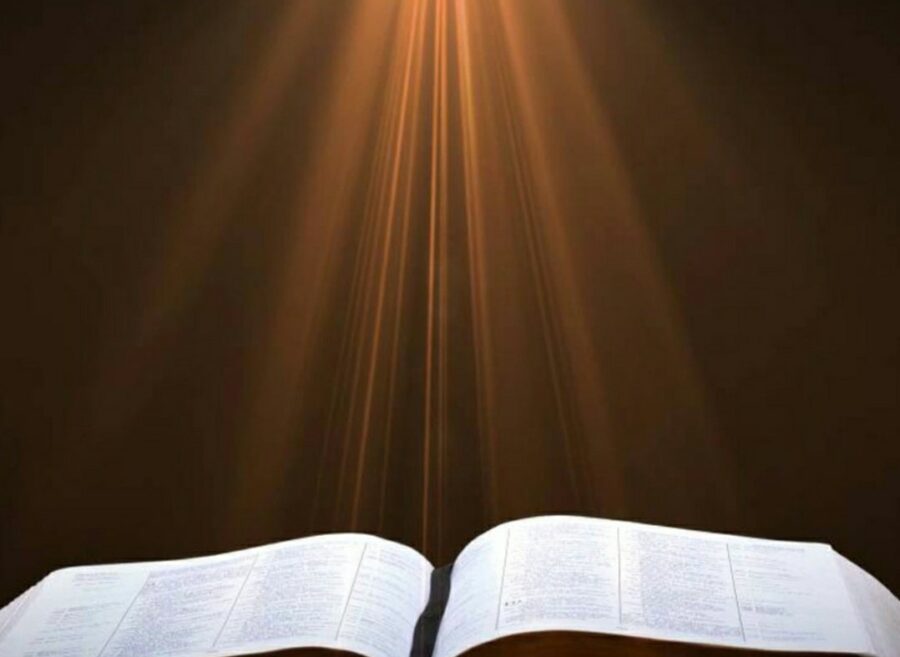 screenshot_20230224-080541_gallery3542957363651522295