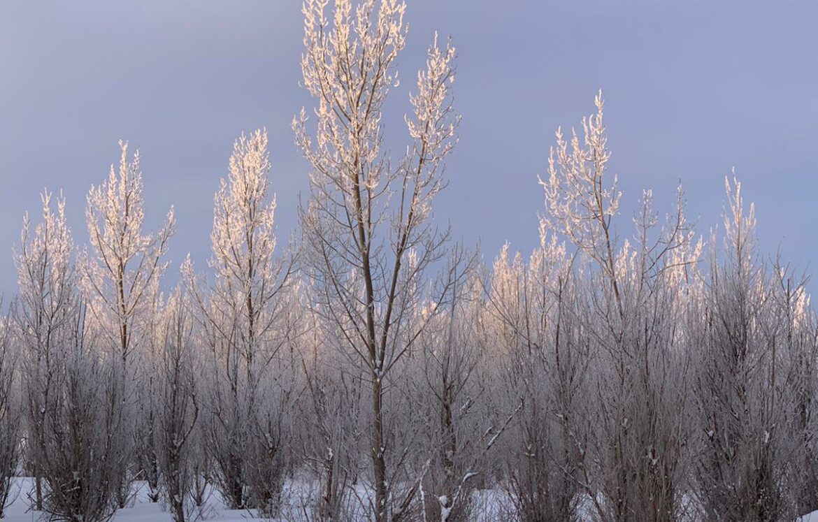 img-20220305-wa00072140764705355351009