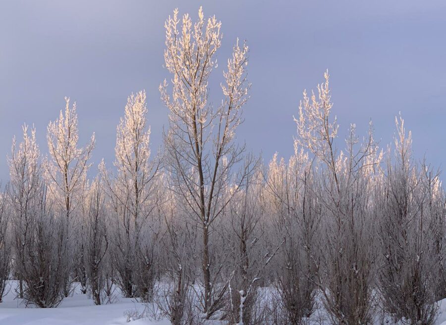 img-20220305-wa00072140764705355351009