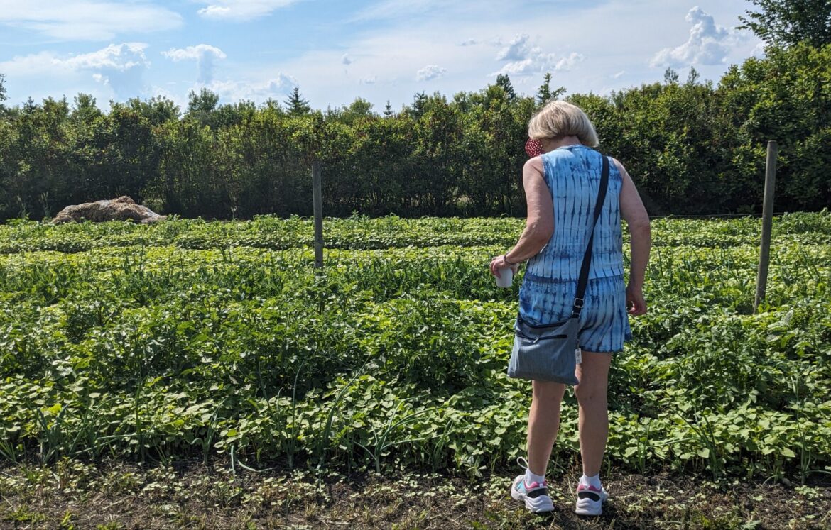 pxl_20230624_2153229302455592907604245942