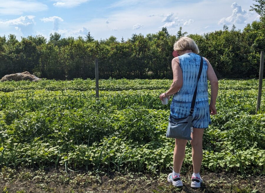 pxl_20230624_2153229302455592907604245942