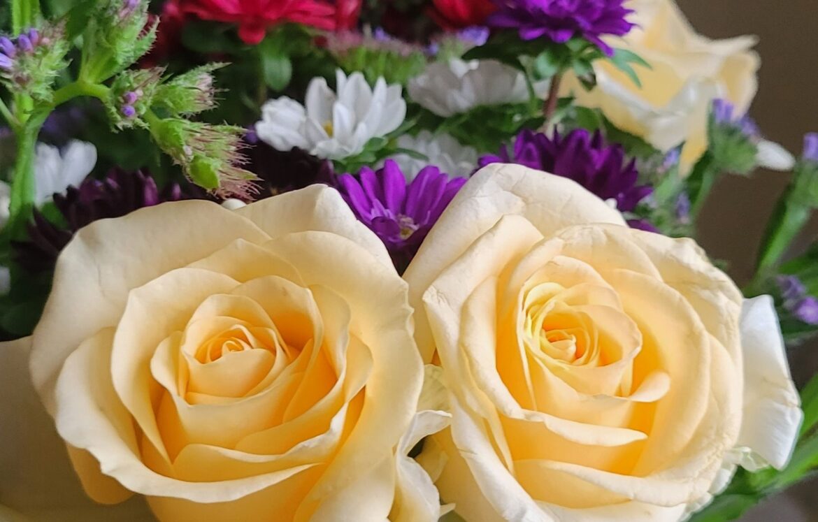 c16dq18420782951198672724