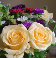 c16dq18420782951198672724