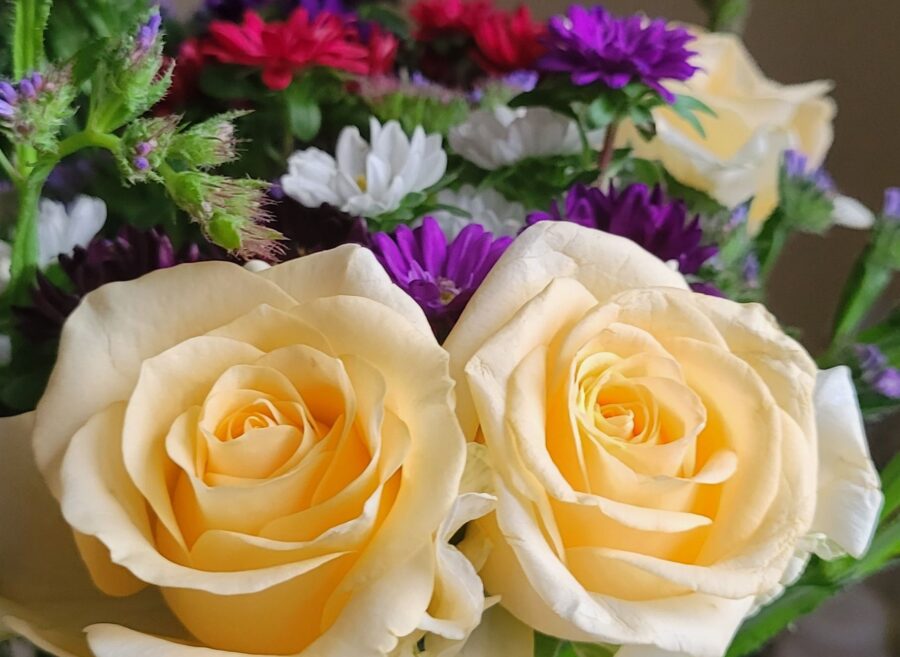 c16dq18420782951198672724