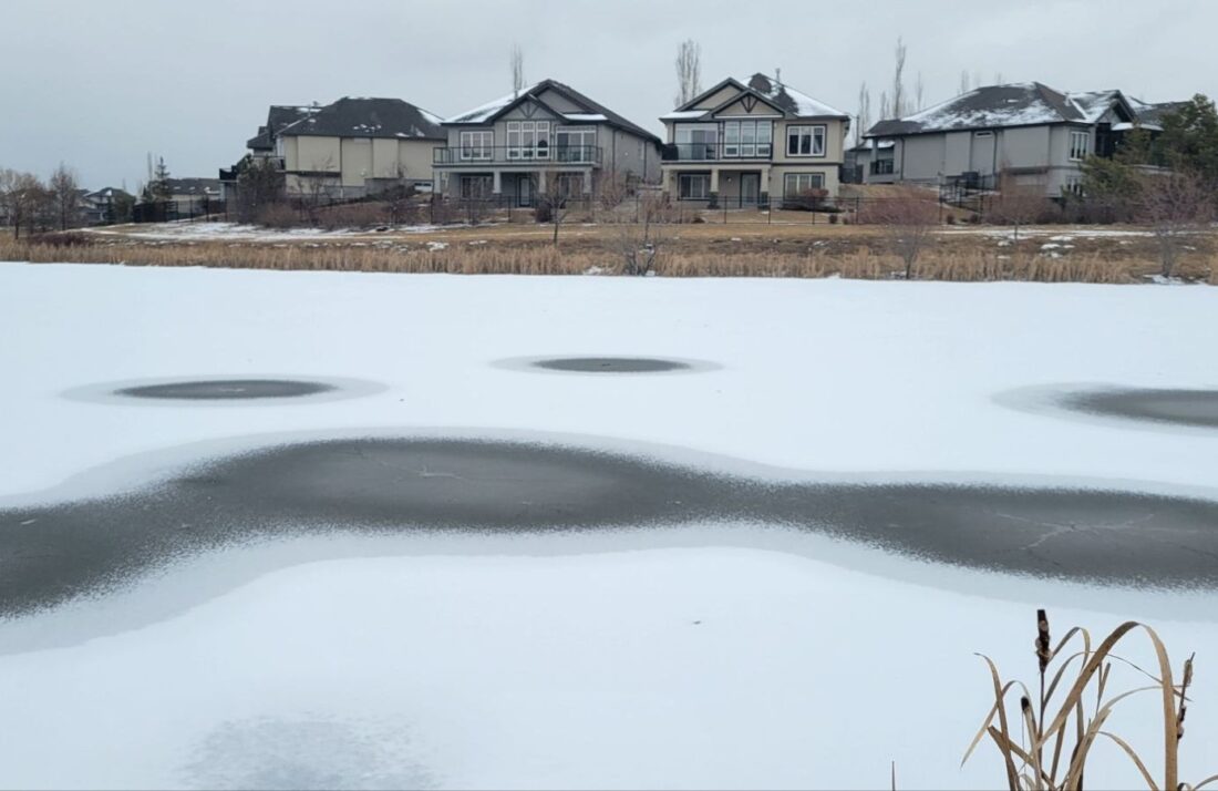 image_editor_output_image1570917149-1716335740770589192449782698246