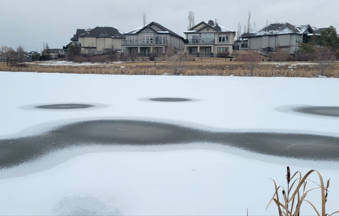 image_editor_output_image1570917149-1716335740770589192449782698246