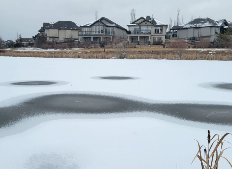 image_editor_output_image1570917149-1716335740770589192449782698246