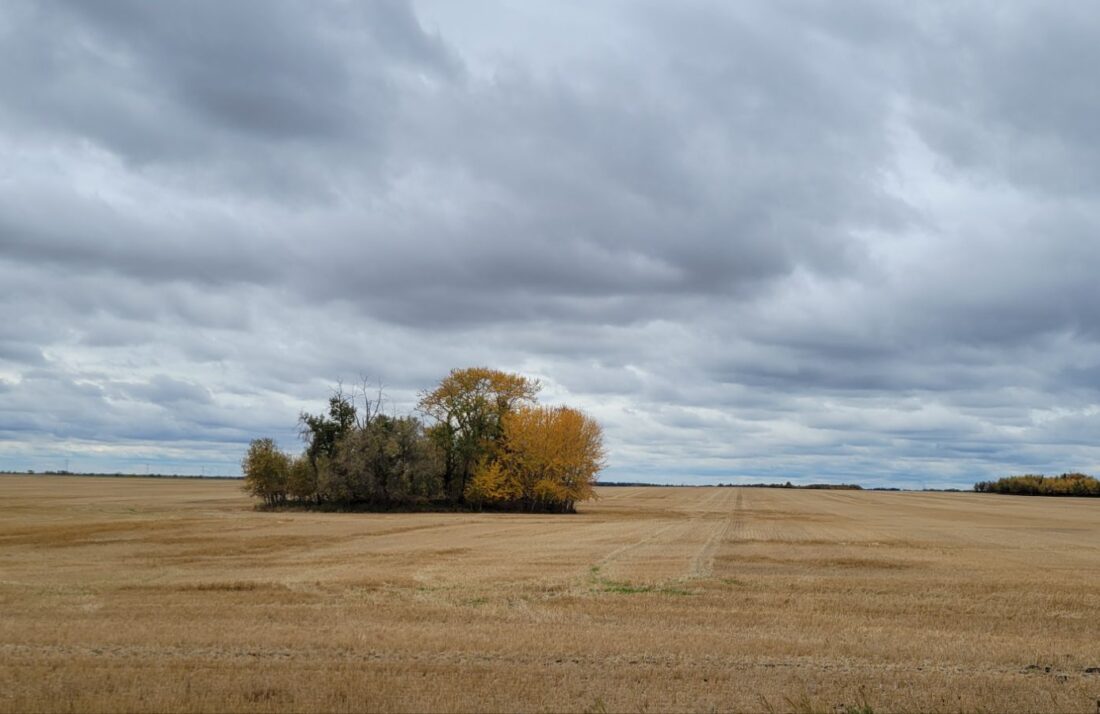 20241002_1335508125745993911035651