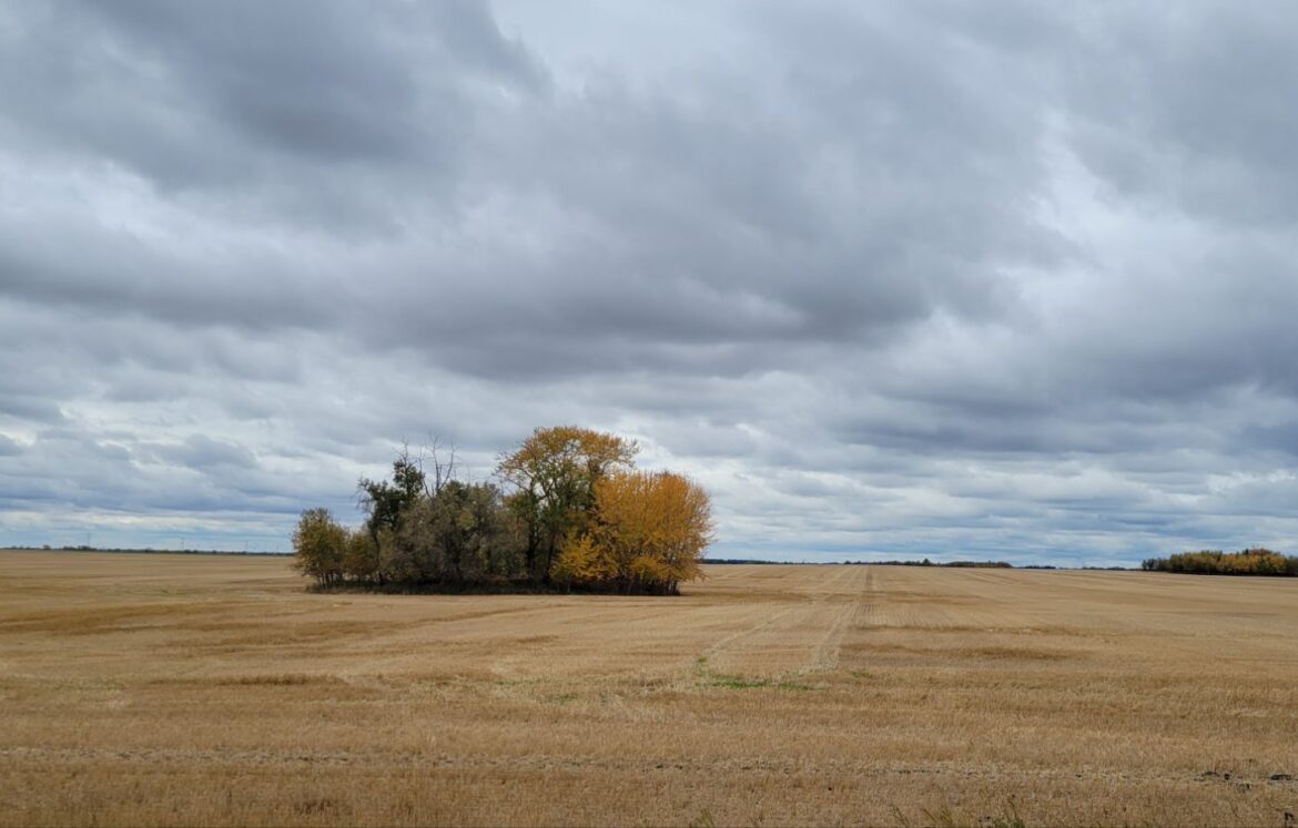 20241002_1335508125745993911035651