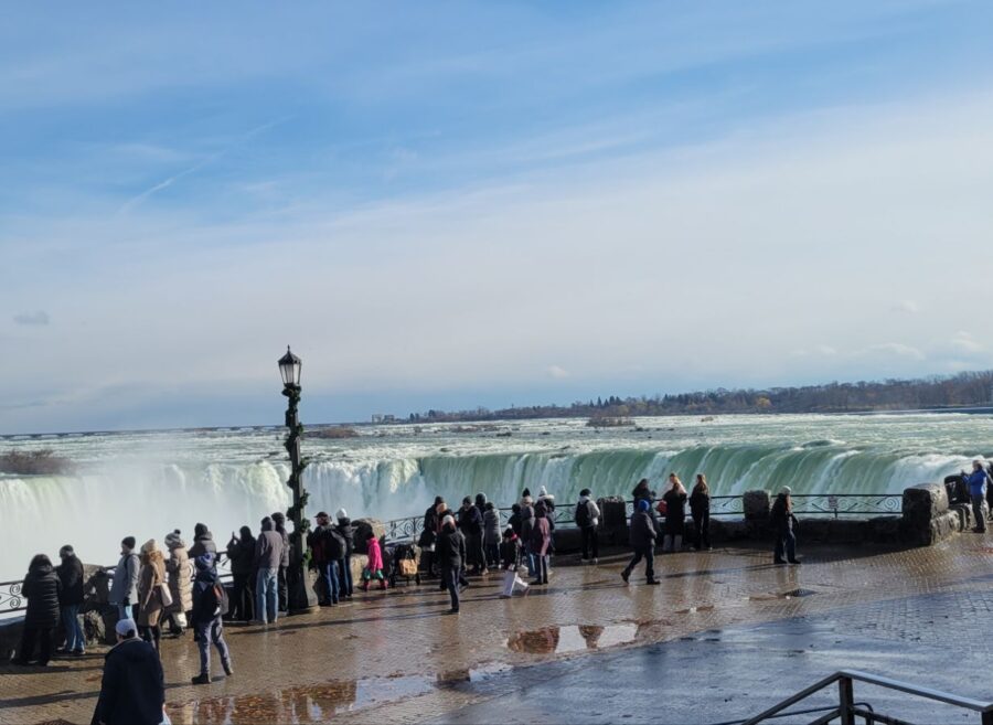 20241130_131435194090289393572299