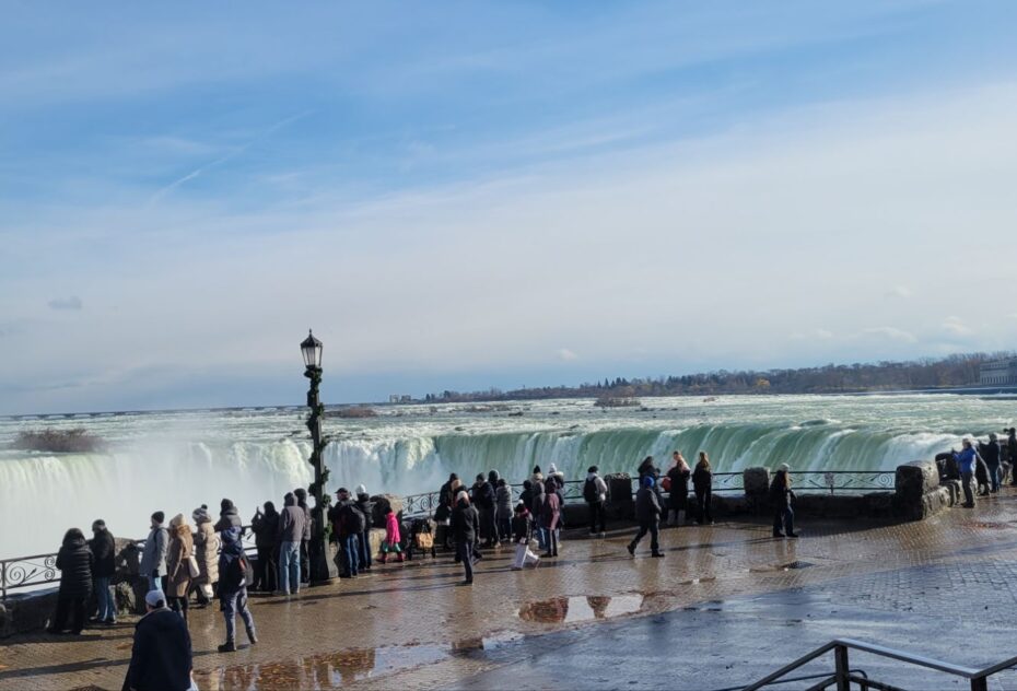 20241130_131435194090289393572299