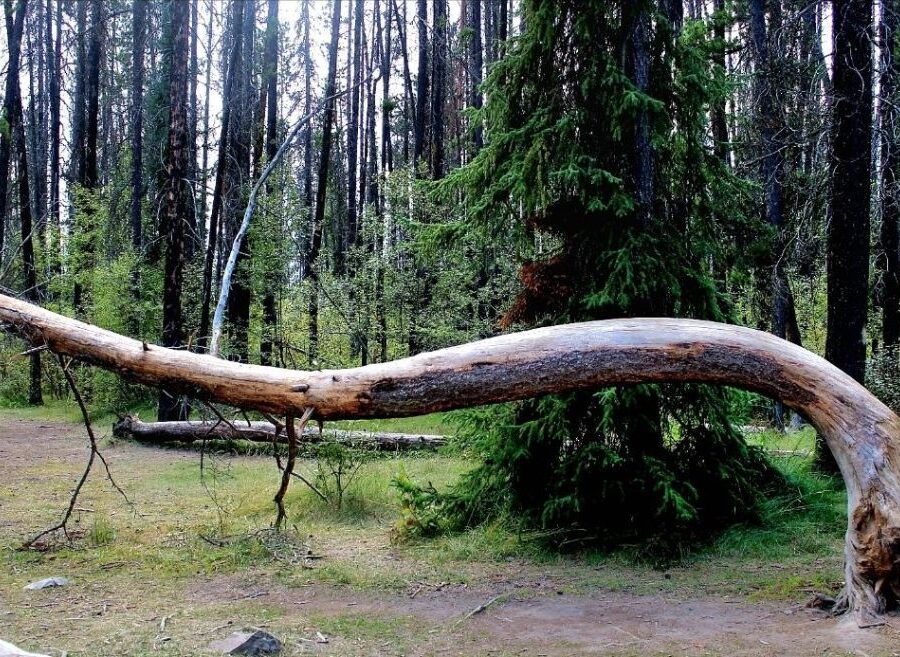 screenshot_20250924_114224_gallery2870024735611255070