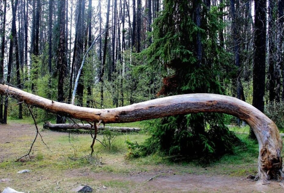 screenshot_20250924_114224_gallery2870024735611255070