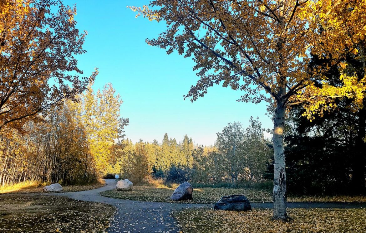 20251013_1750153145703253917152932