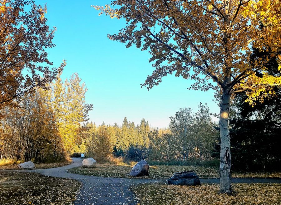 20251013_1750153145703253917152932