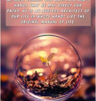 img_20210106_055010_701 (1)