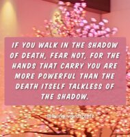 img_20210312_231901_965 (1)